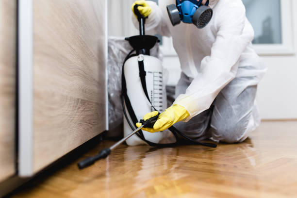 Pest Prevention Services in Hartford, IL