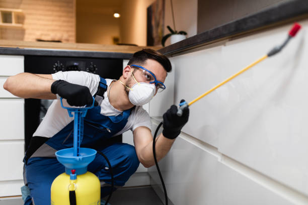 Best Affordable Pest Control Services  in Hartford, IL