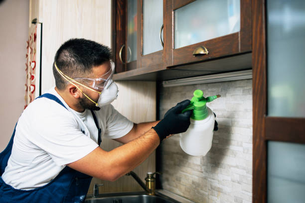 Best Insect Control  in Hartford, IL