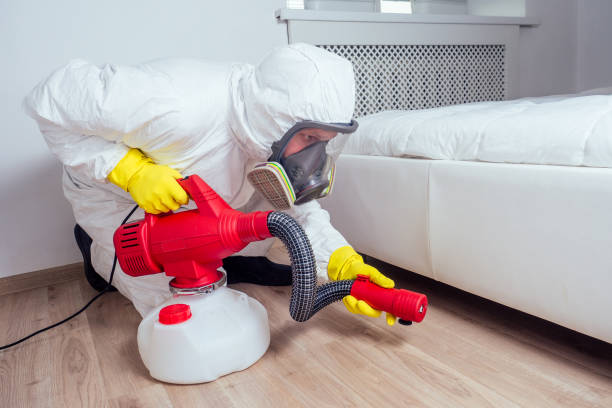 Best Insect Control  in Hartford, IL