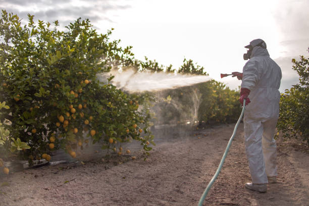 Best Wildlife Control Services  in Hartford, IL