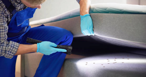 Best Emergency Pest Control  in Hartford, IL