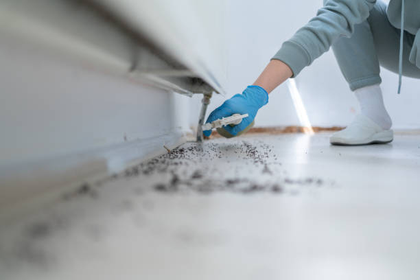 Best Pest Control Treatment  in Hartford, IL