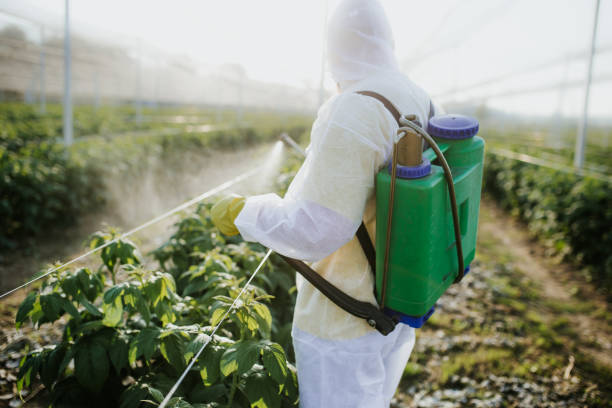 Best Residential Pest Control  in Hartford, IL